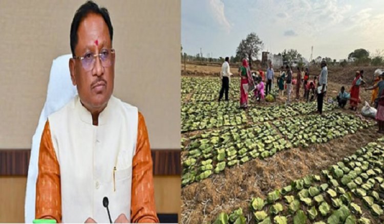 मुख्यमंत्री विष्णुदेव साय 21 जून को करेंगे चरण पादुका योजना का शुभारंभ