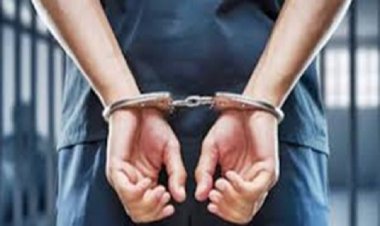 50 हजार की इनामी महिला माओवादी और सहयोगी गिरफ्तार, भारी मात्रा में हथियार बरामद