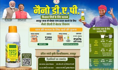नैनो डीएपी किसानों के लिए ठोस डीएपी उर्वरक का स्मार्ट विकल्प