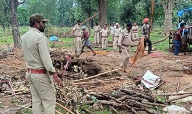 वन विभाग की बड़ी कार्रवाई: पंडरिया वन क्षेत्र से हटाया गया अतिक्रमण