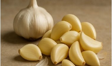 सेहत के लिए फायदेमंद कच्चा लहसुन