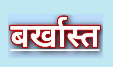 फर्जी प्रमाण पत्र से सरकारी नौकरी: कलेक्टर ने शुरू की बर्खास्तगी प्रक्रिया