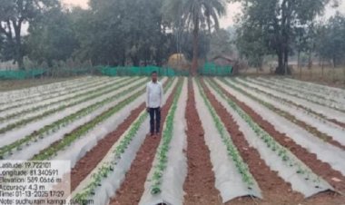 परंपरागत से आधुनिक खेती की ओर: लालसुहनार के साधूराम की कहानी बनी सैकड़ों किसानों के लिए मिसाल