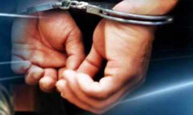 हिस्ट्रीशीटर तोमर बंधुओं पर कसा शिकंजा: रोहित तोमर की पत्नी गिरफ्तार