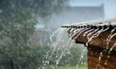 रायपुर में हुई बारिश, आज फिर तेज आंधी तूफान का अलर्ट