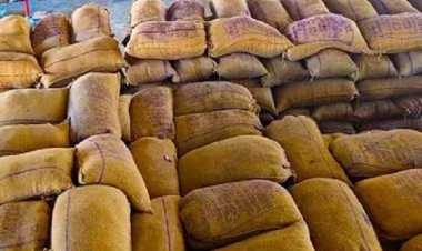 स्टॉक रखे धान गायब, 54 लाख रुपए का गबन