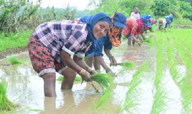 सरकार के नीतिगत फैसलों ने बढ़ाया छत्तीसगढ़ के किसानों का मान