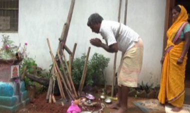 विशेष लेख : छत्तीसगढ़ का परंपरागत तिहार हरेली