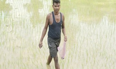 समय पर मिली खाद-बीज से युवा किसान बृजपाल की खेती हुई आसान