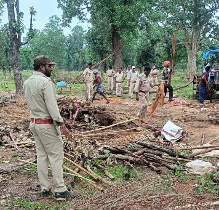 वन विभाग की बड़ी कार्रवाई: पंडरिया वन क्षेत्र से हटाया गया अतिक्रमण
