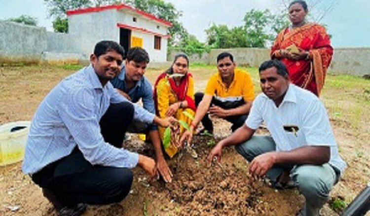 पीएम आवास योजना हितग्राहियों के घरों के सामने वृक्षारोपण