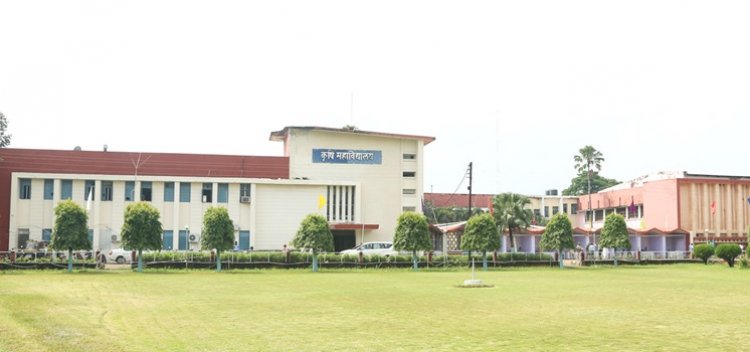 कृषि महाविद्यालयों के स्नातक पाठ्यक्रमों में प्रवेश के लिए ऑनलाइन काउंसलिंग प्रक्रिया प्रारंभ