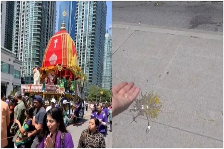 कनाडा में भगवान जगन्नाथ की रथयात्रा पर फेंके गए अंडे
