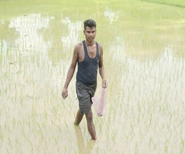 समय पर मिली खाद-बीज से युवा किसान बृजपाल की खेती हुई आसान