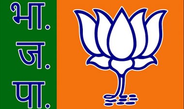 धमतरी जिला भाजपा की कार्यकारिणी घोषित