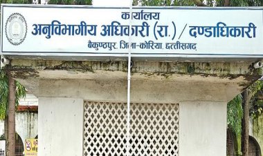 बैकुण्ठपुर एसडीएम का आदेश, आवारा पशु छोड़ने वालों पर होगी कठोर कार्रवाई