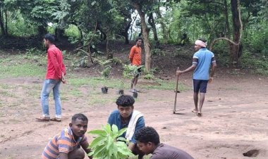 तिरिया में प्राकृतिक पर्यटन और आजीविका संवर्धन का नया मॉडल