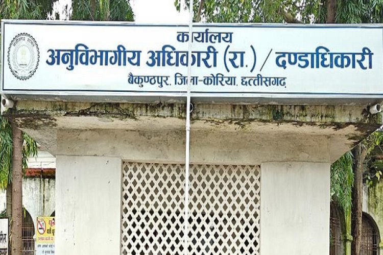 बैकुण्ठपुर एसडीएम का आदेश, आवारा पशु छोड़ने वालों पर होगी कठोर कार्रवाई