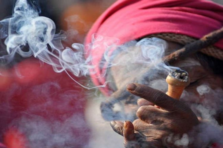 अब गांजा पीने वाले भी जाएंगे जेल, रायपुर पुलिस ने शुरू की कार्रवाई
