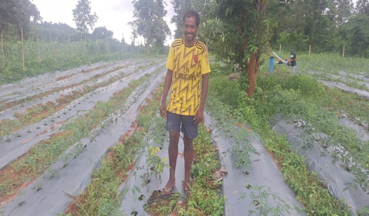 आधुनिक बागवानी व सब्जी उत्पादन से बदल रही है आदिवासी किसानों की तकदीर