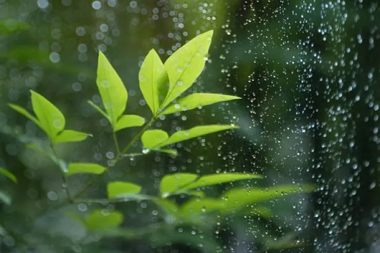 प्रदेश में अब तक 713.2 मि.मी. औसत वर्षा दर्ज