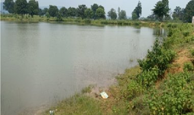 बिशुनपुर का अमृत सरोवर बना ग्रामीणों के लिए आजीविका गतिविधियों का केंद्र