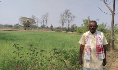 रायपुर : कम लागत से गेहूं की फसल में किसानों को मिलेगा ज्यादा मुनाफा