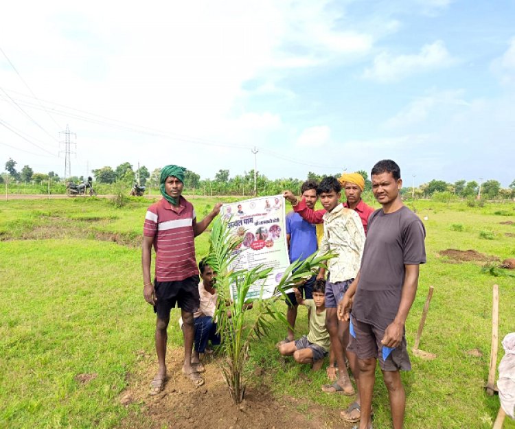 रायपुर : बलौदाबाजार जिले के किसान ऑयल पाम की खेती की ओर अग्रसर