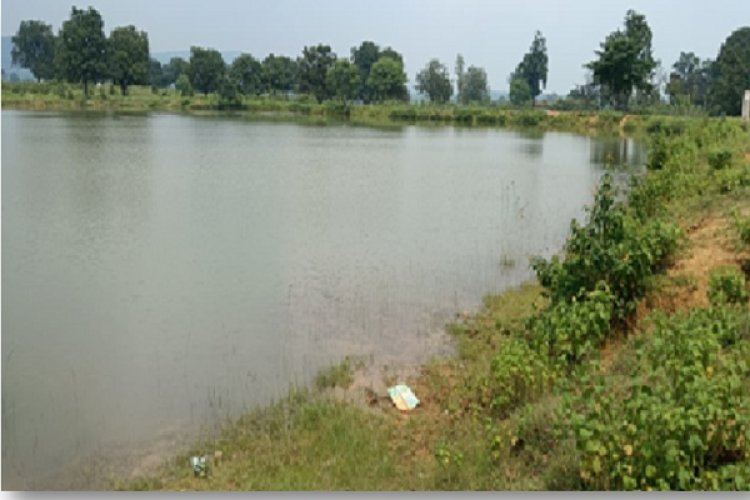 बिशुनपुर का अमृत सरोवर बना ग्रामीणों के लिए आजीविका गतिविधियों का केंद्र