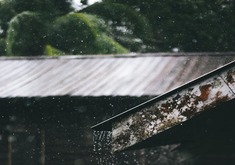 प्रदेश में अब तक 1039.8 मि.मी. औसत वर्षा दर्ज