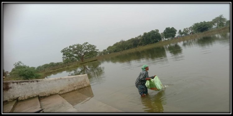 अमृत सरोवर से मिल रही आर्थिक उन्नति