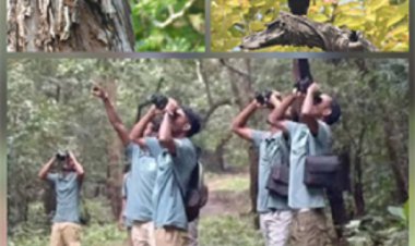 राष्टीय पक्षी पहाड़ी मैना के संरक्षण-संवर्धन से राष्ट्रीय उद्यान में 600 से अधिक मैना दिखे