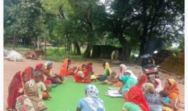 ’जिले के अधिकांश क्षेत्रों में टमाटर उत्पादन संतोषजनक, टमाटर की गुणवत्ता व आपूर्ति सामान्य