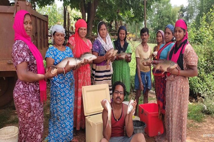 रायपुर : मछली पालन आय का उत्तम साधन