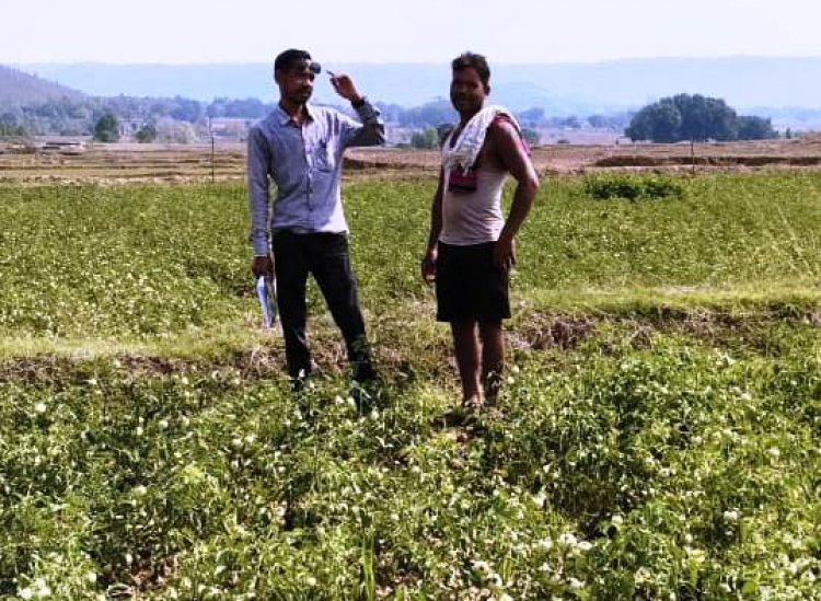 रायपुर : उन्नत विधि का लाभ मिल रहा किसानों को