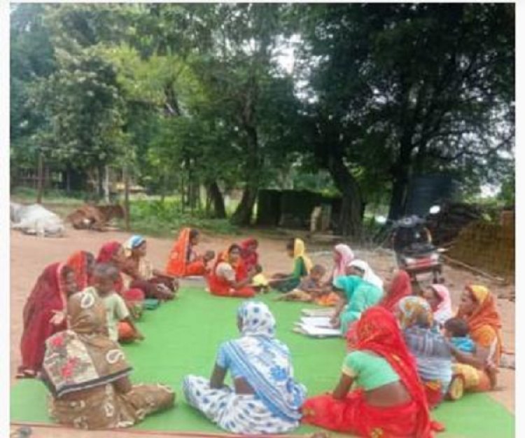 ’जिले के अधिकांश क्षेत्रों में टमाटर उत्पादन संतोषजनक, टमाटर की गुणवत्ता व आपूर्ति सामान्य