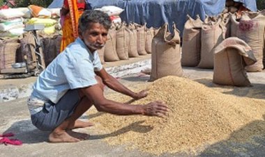 छोटे किसान को बड़ी राहत-21 क्विंटल धान खरीदी नीति से बदली गोटीलाल की किस्मत