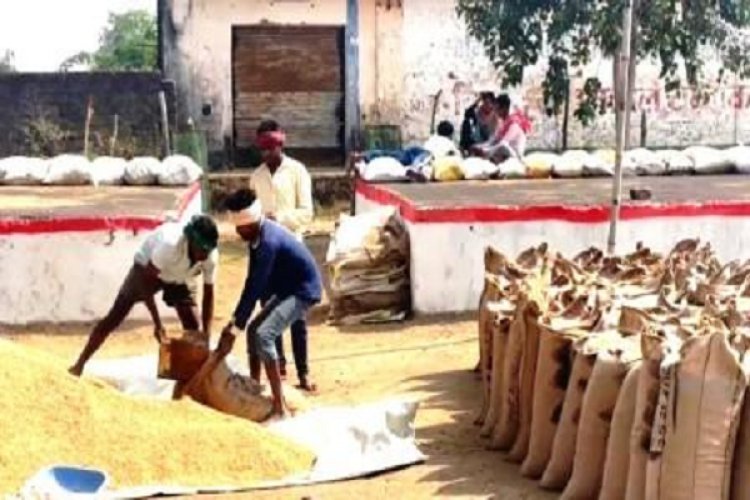 धान खरीदी केन्द्रों के लिए कम्प्यूटर ऑपरेटरों की नियुक्ति