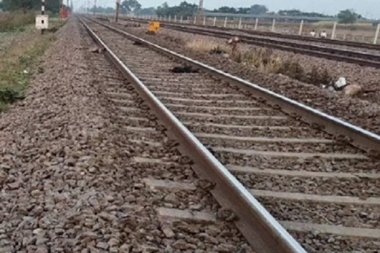 आजाद हिंद एक्सप्रेस की चपेट में 16 बकरे-बकरियों समेत वृद्धा की मौत