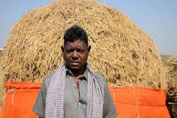 मेहनत रंग लाई - किसान पोरा सिंह को मिली अच्छी पैदावार और बढ़ा समर्थन मूल्य बना संबल