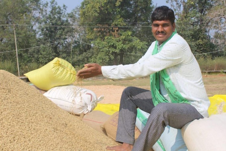 रायपुर : खेती से कमाई, अब आधुनिकता की ओर बढ़ते कदम