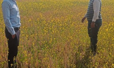 जल संरक्षण से आय संवर्धन तक: धमतरी की रबी फसलों की सफलता कथा