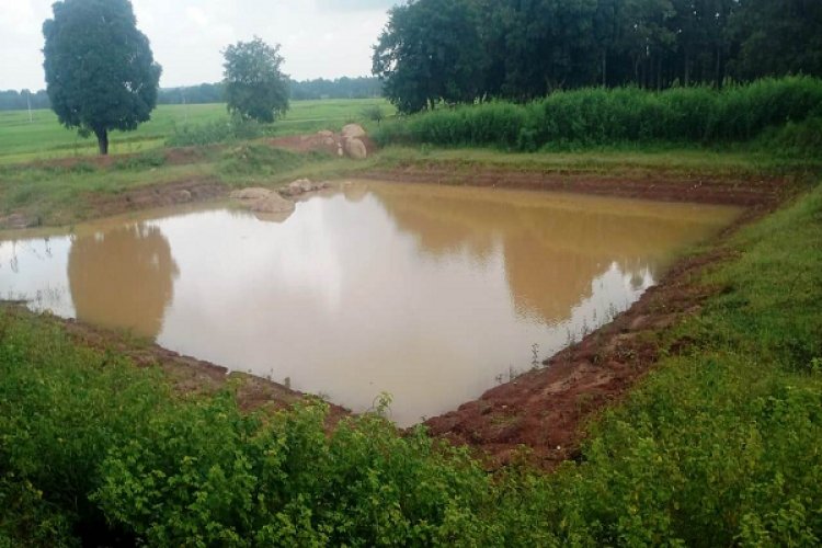 रायपुर : डबरी निर्माण से ग्रामीण आजीविका को मिल रही नई दिशा