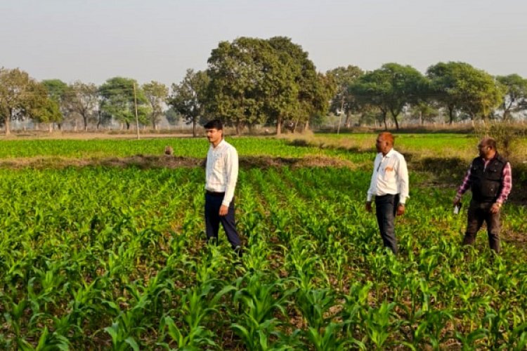 पचास साल बाद बदली खेती की तस्वीर