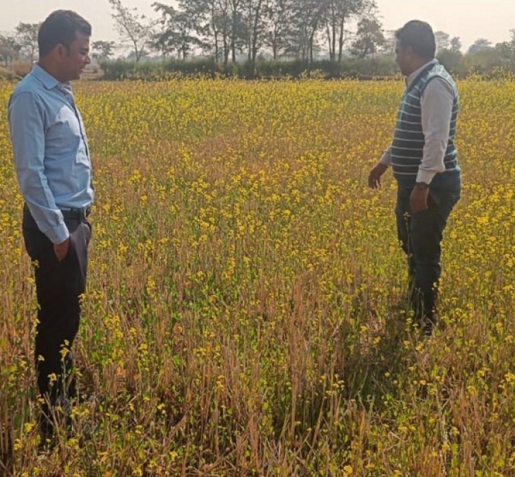 जल संरक्षण से आय संवर्धन तक: धमतरी की रबी फसलों की सफलता कथा