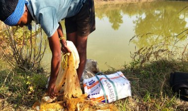 आजीविका डबरी : छोटे किसानों की आत्मनिर्भरता की नई राह