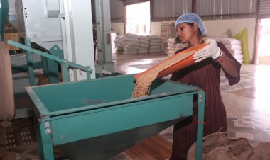 सशक्त मानसिकता से आत्मनिर्भरता की ओर- पोषण निर्माण में अहम भूमिका निभा रही हैं सूरजपुर की महिलाएं