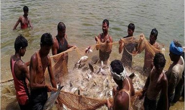 प्रधानमंत्री मत्स्य सम्पदा योजना से जिले में आई मत्स्य क्रांति