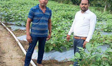 राष्ट्रीय कृषि विकास योजना से बदली किसान की किस्मत