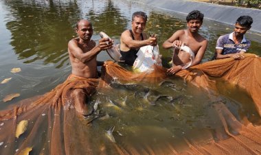 बॉयोफ्लॉक तकनीक से मछली पालन से आत्मनिर्भरता की ओर